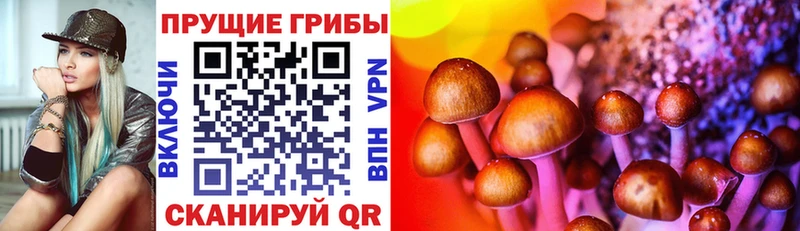 магазин продажи наркотиков  Руза  ОМГ ОМГ tor  Псилоцибиновые грибы прущие грибы 